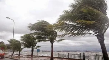 رياح وشبورة مائية.. تفاصيل حالة الطقس المتوقعة لمدة 5 أيام بمحافظات مصر